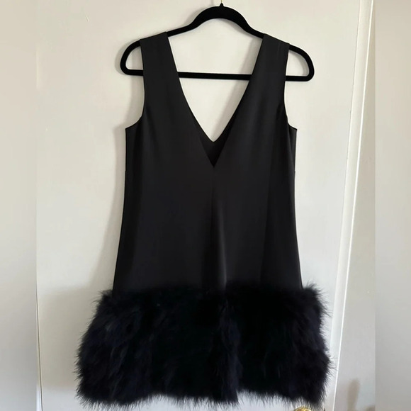 BCBGMaxAzria Dresses & Skirts - BCBGMaxAzria Jamysen Mini Dress Women 4 Black Feather Sleeveless Deep V-Neck